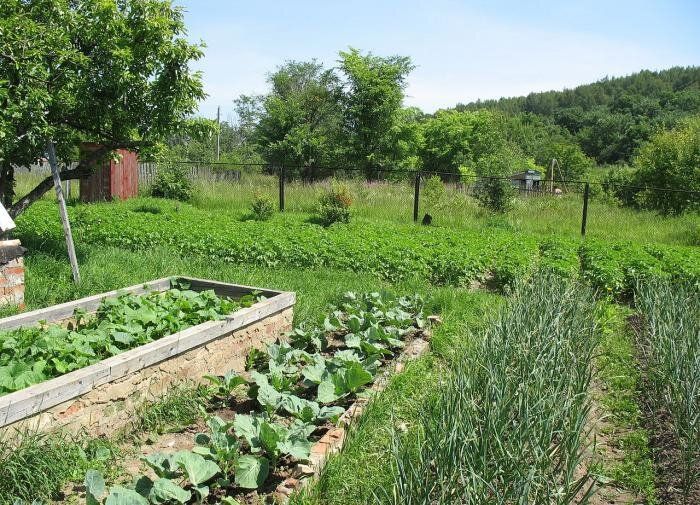 ��� ��������, ����� � ����� ������� ��������� ���� � ����� �������