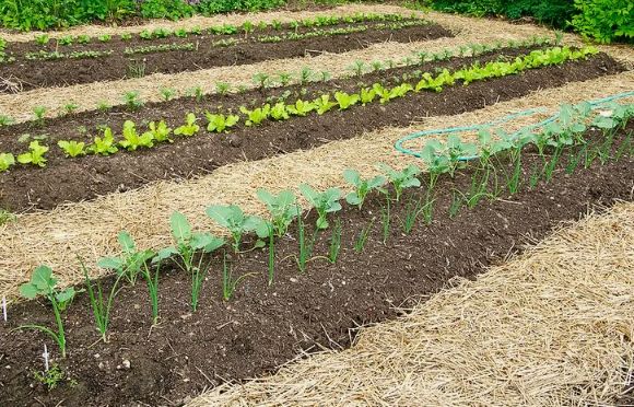 ��� �������� ���� ������� ���������� � ������������ ����������: 5 ������� �������� ��� ���������