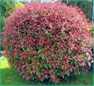 �������: ����� ������ ��� ������ ���������