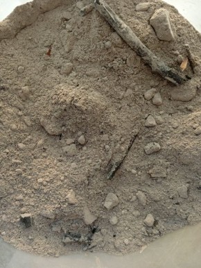 Секреты использования золы осенью: как сделать вашу почву еще плодороднее