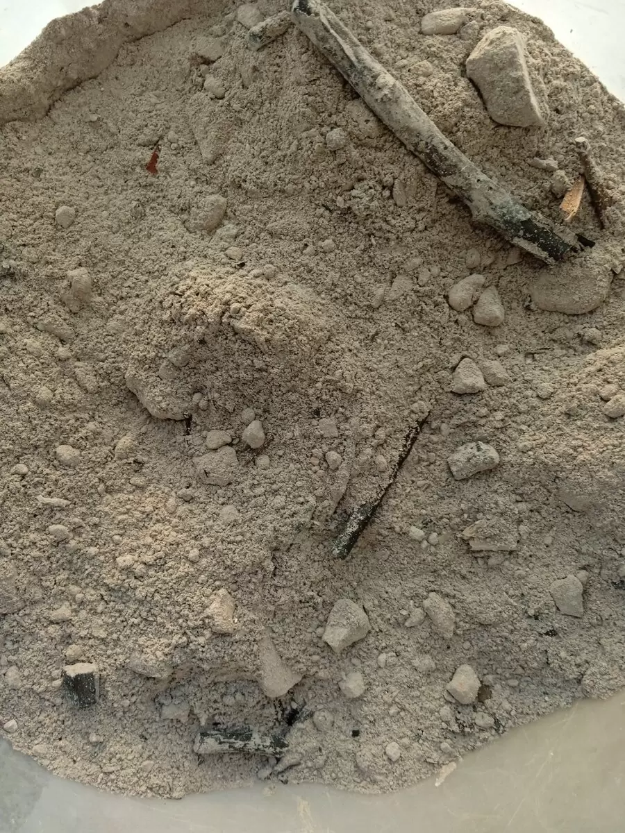 Секреты использования золы осенью: как сделать вашу почву еще плодороднее