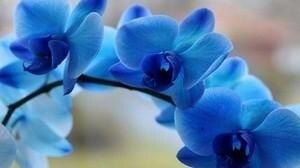 ������� ����� ����� � ������� �������: ���������� ��� ���� �����?