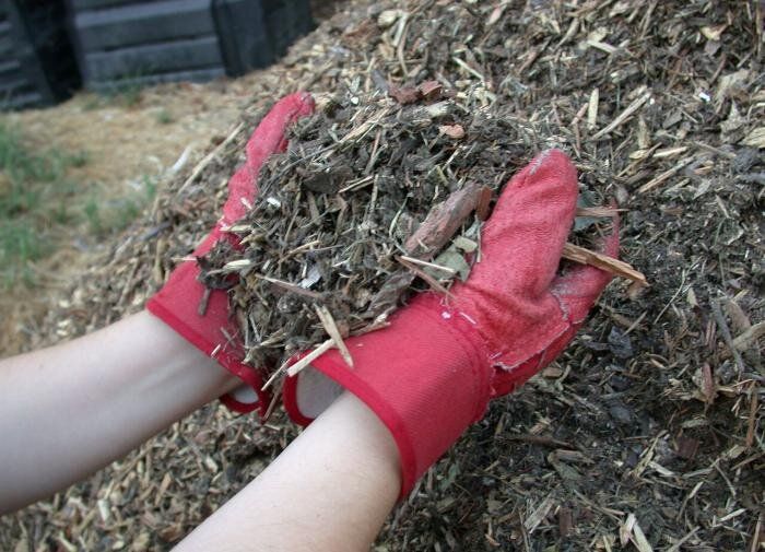 ������: ������� ���������� ���� ��� ����������� ���������