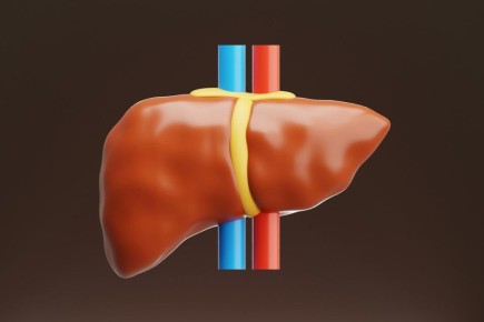 Напитки, которые могут подорвать здоровье печени