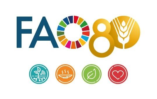 16 �������: ������ ��� � ��������� ���� ��������������