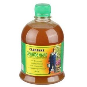 ��������� ��� ��������� ��������: ��� ������� � ���������� ���������