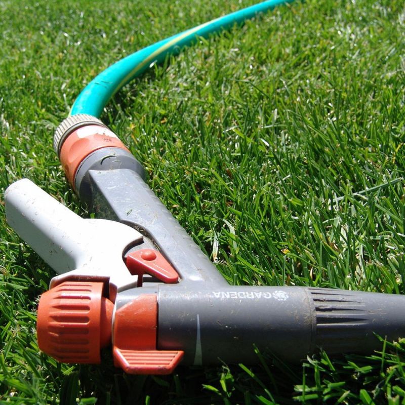 ������ ������� ��������� ����� � ���� ��� ������: ������� ������