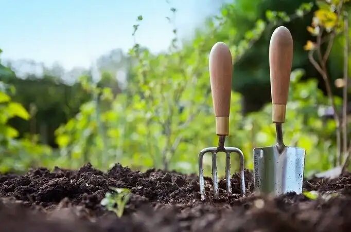 �����������: ������� ���������� � ������� ������������ �������������