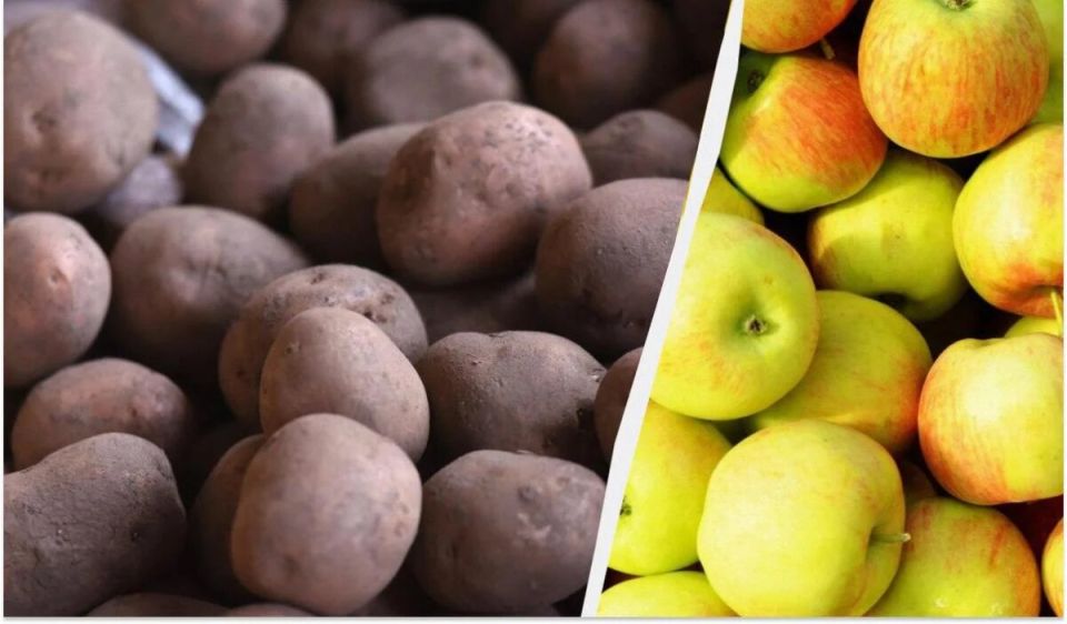 ��� ��������� �������� ������ � ��� �������: ������� ���������