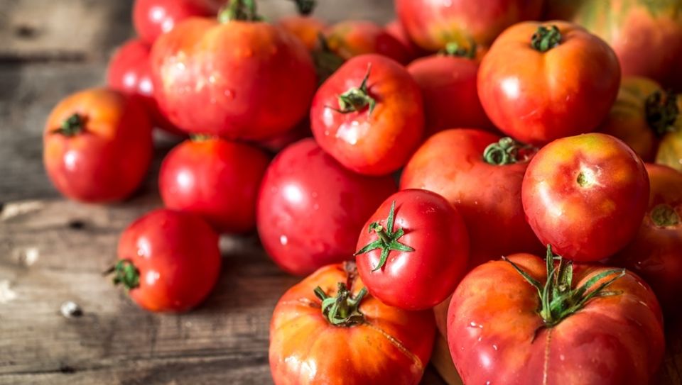 ������: ����� � ���� ����� �� ���������