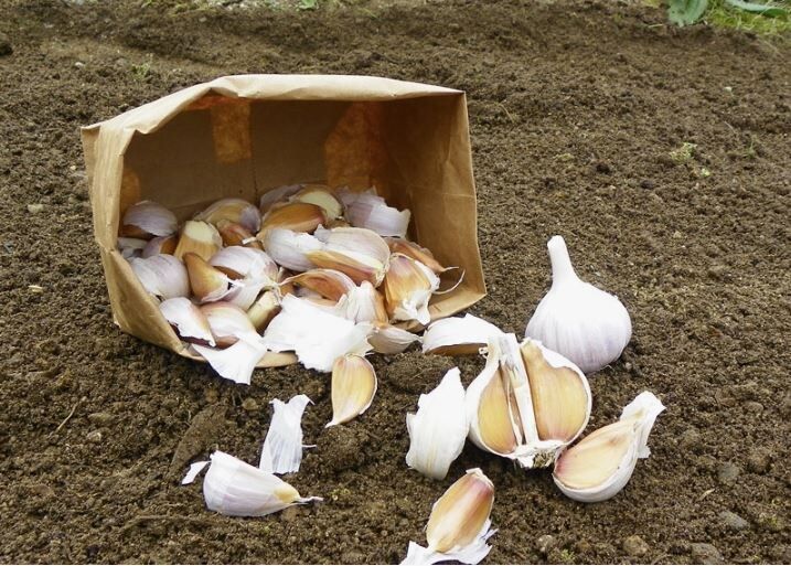 ����� �� ����� �������: ������� ���������� ������ ��� ������ � ��� � ������� �������