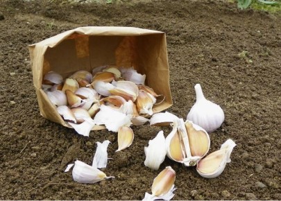 ����� �� ����� �������: ������� ���������� ������ ��� ������ � ��� � ������� �������