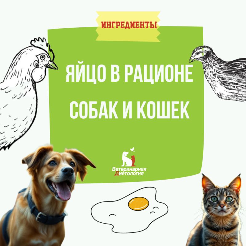 �������� �������� ��� ��� �������� ��������: ��� ��������� �������� � ������