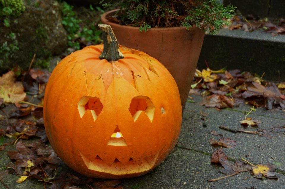 ��� ������� ��������� ������ ��� ���������: ������� ����