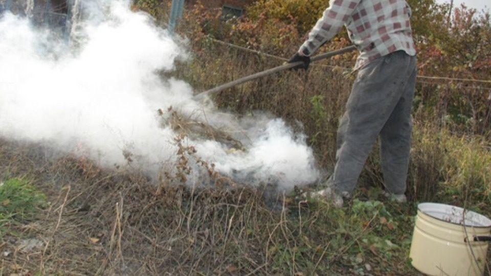 ����� ������ ������: ��� �������� ��������� � ������ �������� �����