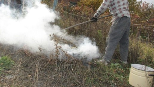 ����� ������ ������: ��� �������� ��������� � ������ �������� �����