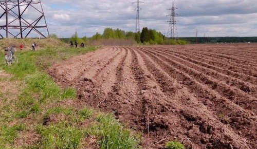 Губернатор Сергей Ситников поручил департаменту соцзащиты и главам муниципальных образований помочь семьям с невысоким доходом получить бесплатный участок для выращивания овощей
