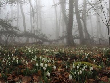 ������ ���������� ������ ���� � ������