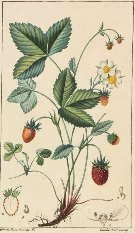 ����������� ���: �������� �������� � �������� ��������