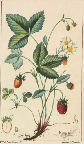 ����������� ���: �������� �������� � �������� ��������