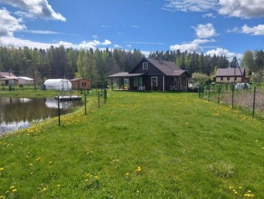 Весенний уход за газоном: вернем зелень и жизнь!