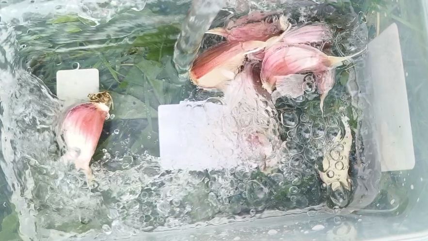 ��� ��������� ���������� ������ � ��� ����� ��������: ������� ��������� ������