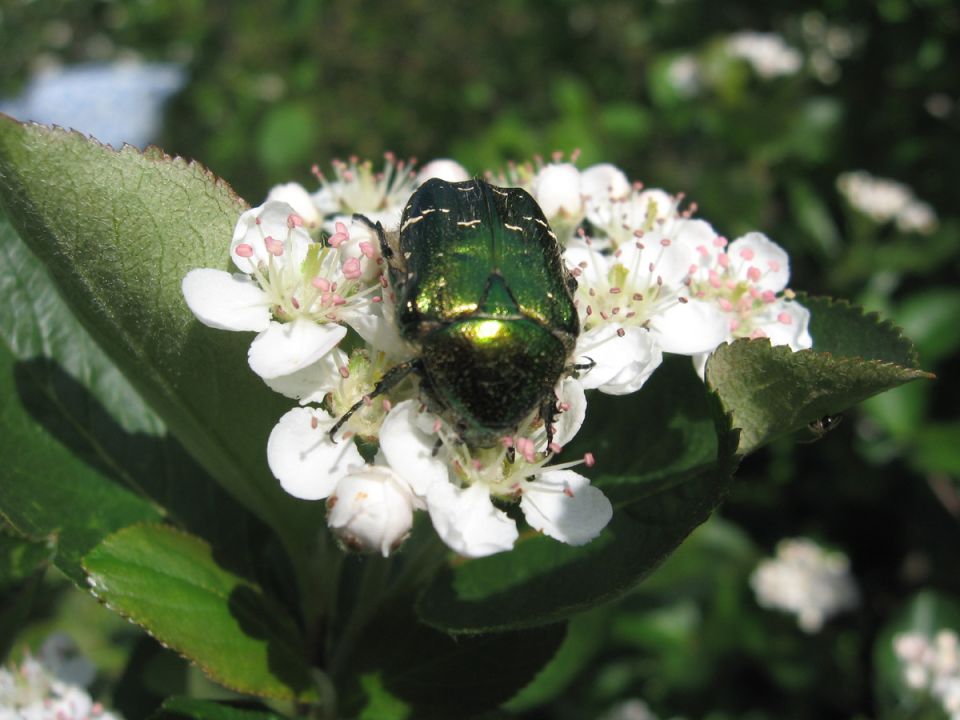 ������: ������� �������� � ������� �� �������