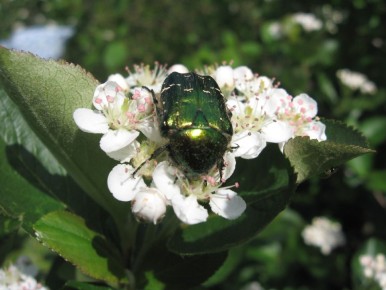 ������: ������� �������� � ������� �� �������