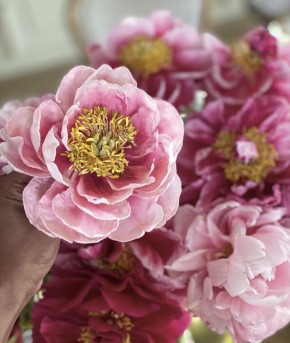 �������� �����: ������ ������������ ��������� �� �����