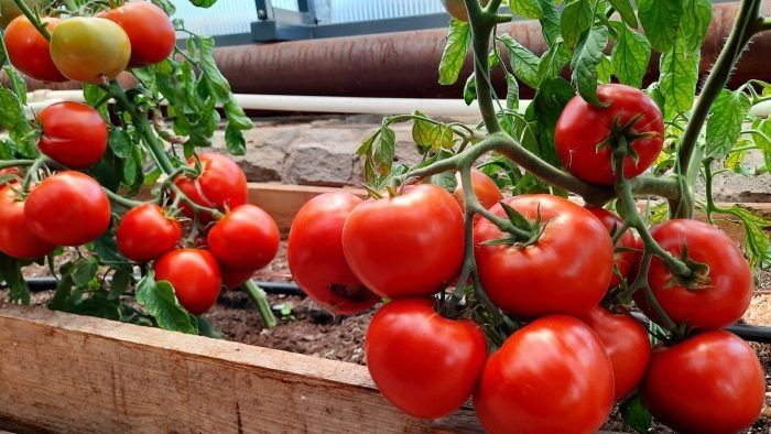 ����� �������: ������� ��������� ����������� � ������������ ��������