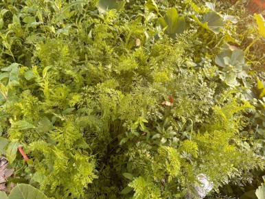 ��� ������ ������ �������� �� ����� �� ������: ������ ��� ��������