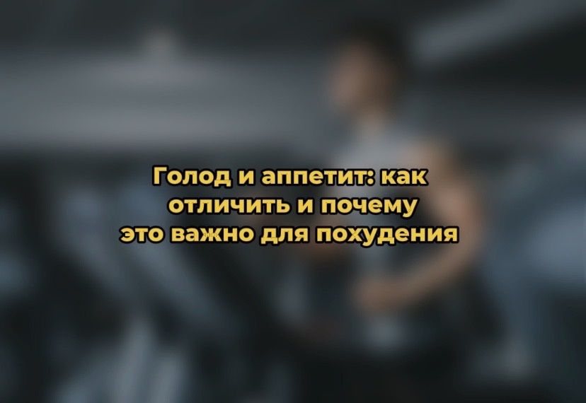 ����� ������ ��������: ��� �� �������� �������� ��� ��������