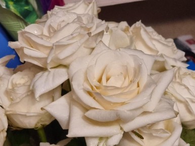 Грязная ваза ускоряет увядание срезанных цветов