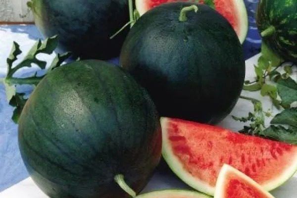 ���� �����: ����� ������ �� ������� �����