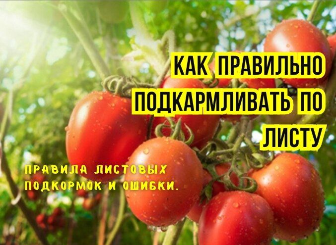 �������� ���������: �������� ������ � ������ ���������