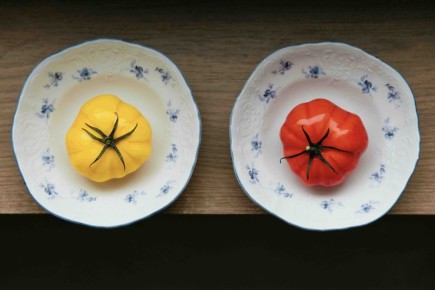 ���������������� ��������: ����� ������� ������ �� �����