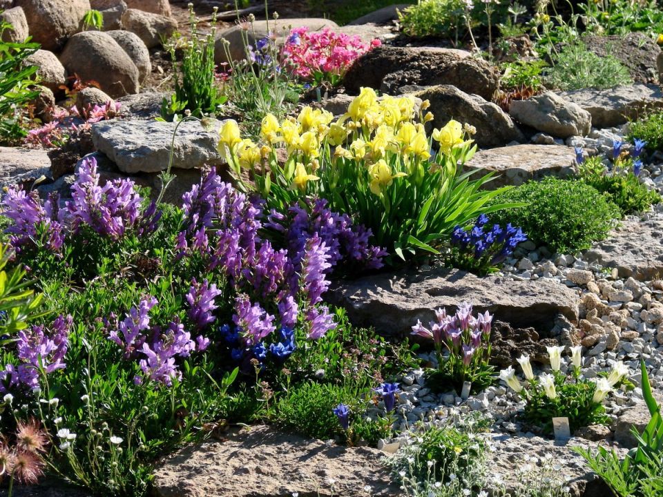 ����� ������ ����� ��� ���������� �����: ���� ��� ������?