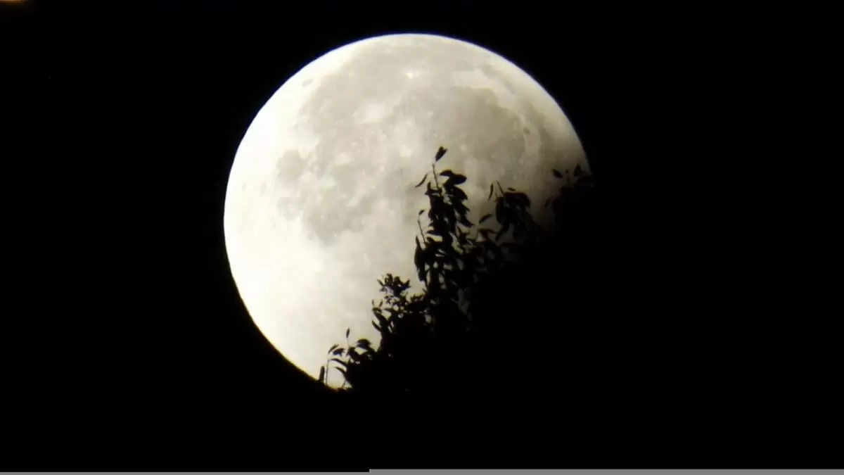 Полнолуние в Овне: какие неожиданности ждут знаки Зодиака