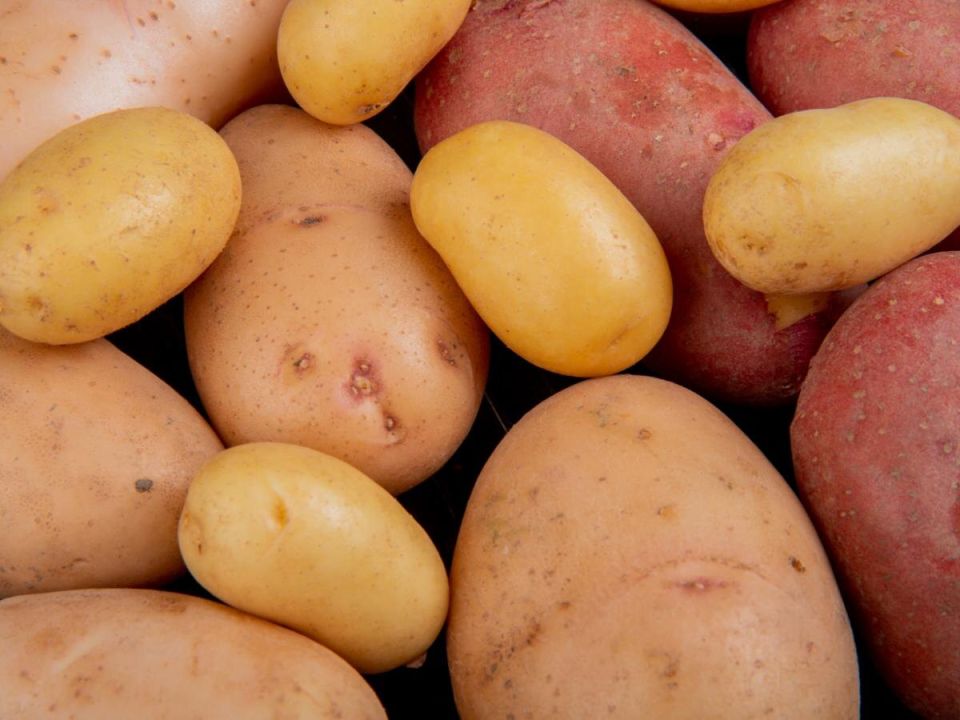 ������ ��� �������: ��� �������� ����� �� ������������