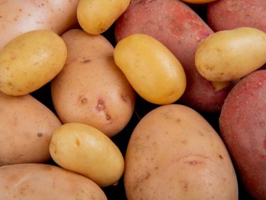 ������ ��� �������: ��� �������� ����� �� ������������