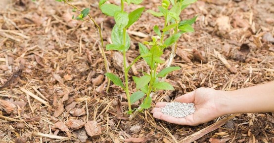 ���� �� ���������: ������� ��������� ������