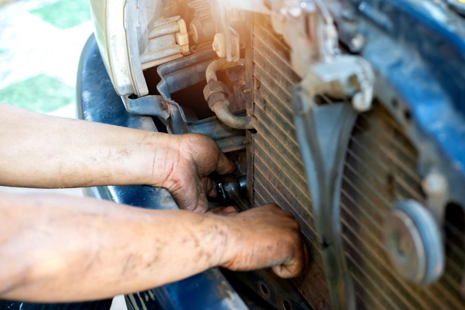 ��� ����� �������� ��������� ����������: �������� ������