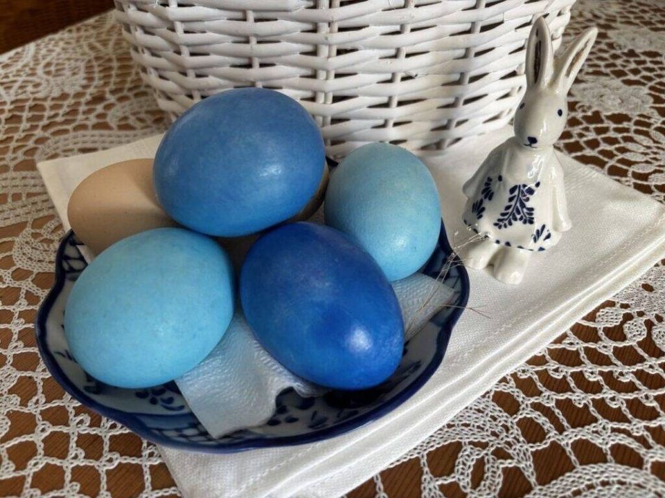 ����� ���������� ����: �������� ������ ���������