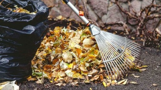 ���������� ������������ ��������: ��� ������������ ������� ������ ��� ��������� �����������