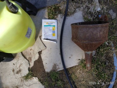 ����������� ������ ������ ������� ��������� �� ���������� � �����������