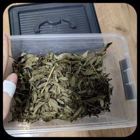 ��� ��������� �������� ���������� ����� � ������ �� �����