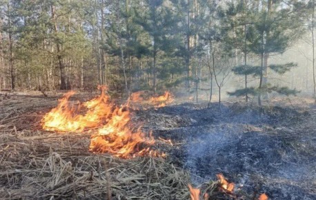 ��������� ����� �� ������������ ����� �����