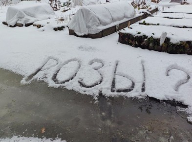 ��� ��������� �������� ����: ������ ��������� ��� �������� �������