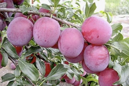 ����� � �����: ��������� ���� � ������������