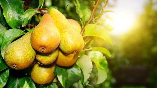 ��� ��������� ������ ������ �� ������ ����: ������� ��������� ������������